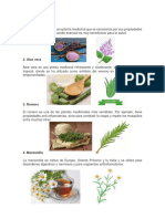 Plantas Medicinales