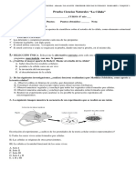 Prueba Cs. Naturales 8°, La Célula, 2019