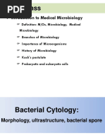 Bacterial Taxonomy Mu