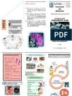 Tríptico - Campylobacter Jejuni