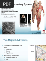 CH 5: Integumentary System