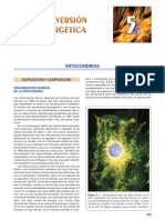 Conversion Energetica Celular PDF