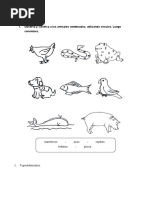 Ficha de Los Vertebrados para Tercero de Primaria