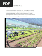 Agricultura Empresarial