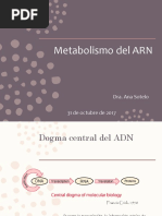 Metabolismo Del ARN