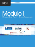 Modulo I Diseño Curricular