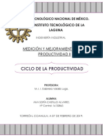  Ciclo de Productividad