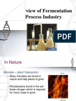 Overview of Fermentation Process - Bioprocess Principles