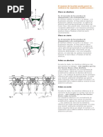 Cadera y Cadenas Musculares