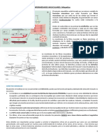 Tema 25. ENFERMEDADES MUSCULARES. Miopatías