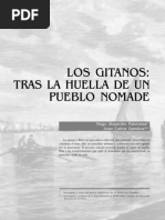 Los Gitanos: Tras La Huella de Un Pueblo Nomade