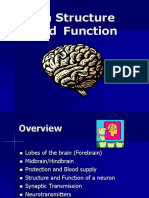 Brain Structure and Function