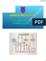 03B Motilidad Pasiva y Tono Musuclar