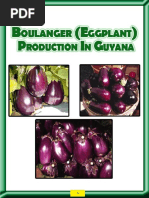 10958-NARI Guyana Production de Boulanger (Aubergine) Au Guyana (Angl)