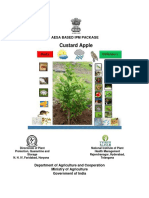 Custard Apple: Aesa Based Ipm Package