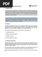 Enfoques de La TGS PDF