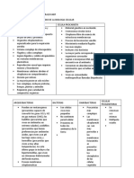 Cuadro Comparativo Celula Procariota y Eucariota