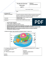 Evaluación Coef 1. Célula y Función