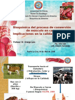 Bioquímica Conversión Músculo en Carne UDO-Ve