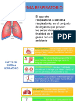 Presentación 1