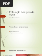 Patologia Benigna de Vulva