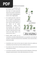 Caracteristicas de Mendel en Los Guisantes