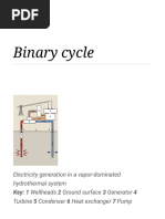 Binary Cycle