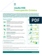 Guia HSE Concepto Preocupación Crónica