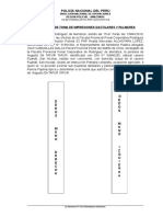 Acta de Impresiones Dactilares y Palmares