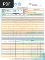 Kardex - Enferemeria - Documento Tipo Formulario Digital