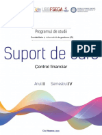 Silabus Control Financiar PDF