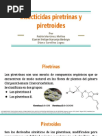 Piretrinas y Piretroides