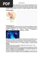 Sistema Limbico