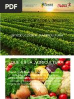 Introduccion A La Agricultura