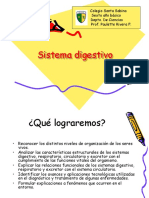 Sistema Digestivo: Colegio Santa Sabina Sexto Año Básico Depto. de Ciencias Prof. Paulette Rivera F