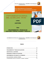 Auditoria de Patrimonio Monografia UNAP