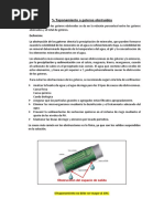 Taponamiento o Goteros Obstruidos