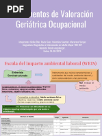 Instrumentos de Valoración Geriátrica Ocupacional