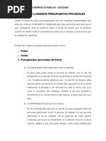 A Qué Le Llamamos Presupuestos Procesales en El Amparo y Cuales Son