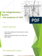 The Integumentary System - The Anatomy of Skin: T. Rick