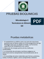 Pruebas Bioquimicas