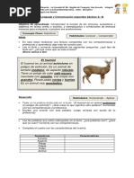 Guía de Lenguaje y Comunicación Segundos Básicos A