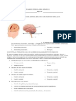 Examen de Sistema Nervioso Central