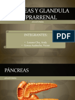 Pancreas