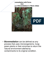 Bioremediation With Ferns and The Physiology of Bioremdiation in Pteris Vittata