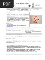 Domino 6 Profe Areas