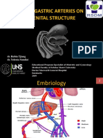 Hypogastric Arteries Branch