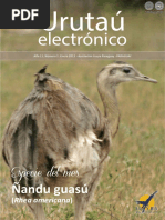 Revista - URUTAU ELECTRONICO - No 1 - ENERO 2013 PDF