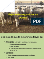 Mejoramiento Genético Ovinos 2018 RM FCA UNC PDF