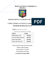 Informe 12 ANALITICA